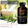 エッセンシャルオイル・ユーカリ30ml（オーガニック）