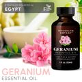 エッセンシャルオイル・ゼラニウム30ml（オーガニック）