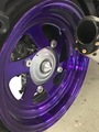 FLP Rear Nut Cover Zoomer