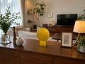強波動 SE六芒星ゴールドメダル（置き型）
