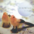 青い鳥が鳴く方へ