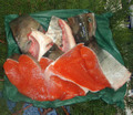 鮭　鍋セット（３～５人）