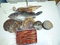 定期購入鮮魚セット3000