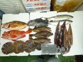 鮮魚セット7000