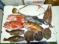 鮮魚セット10000