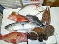 鮮魚セット15000