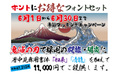 2023夏キャンペーン（ダウンロード版）