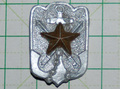 在郷軍人会会員徽章 小型樹脂製