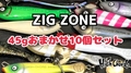 【ZIGZONE】45gおまかせ10個セット