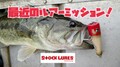 【最近のルアーミッション】