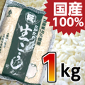 【生】米こうじ １ｋｇ