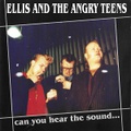 ELLIS & THE ANGRY TEENS/Can You Hear The Sound(中古CD)