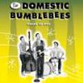DOMESTIC BUMBLEBEES/Break Up Bop(CD)