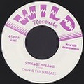 CHUY & THE BOBCATS/Strange Dreams(7")