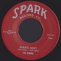 ROBINS/Whadaya Want(7")