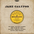 JAKE CALYPSO/The Roots And The Fruits(10”)