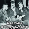 THE DALTONS/Tumbleweed(LP*Alt Sleeve)