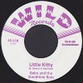 BEBO & THE GOODTIME BOYS/Little Kitty(7")