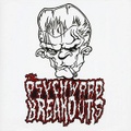 THE PSYCHWARD BREAKOUTS/Same(CD)