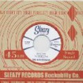 SUN ROCKETS/Crazy Rhythm Roll(7")