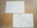 postcard　バンビ/bambi