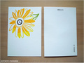 postcard　ひまわり/sunflower