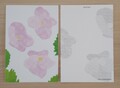 postcard　シラネアオイ/Glaucidium