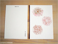 postcard　いがぐり/chestnut