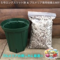 【便利なセット】プルメリア専用培養土と５号ロングスリット鉢のセット