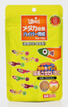 【お取寄せ】メダカ幼魚ハイパー育成(幼魚10-25mm)
