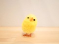 ひよこ