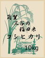 三谷コシヒカリ　10㎏