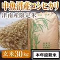 魚沼産コシヒカリ 令和7年度 生産地域限定米 玄米30キロ