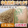 魚沼産コシヒカリ 令和6年度 生産地域限定米 玄米30キロ