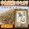 魚沼産コシヒカリ 令和6年度 生産地域限定米 玄米5キロ