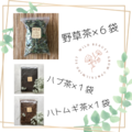 【野草茶　お得パック】 〜風の時代を軽やかに歩むために〜 《人気のため期間延長》