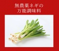 ネギの調味料 2本セット　＆最初の10名様限定で、一本 小瓶のプレゼント付き