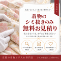 着物シミ抜き無料見積もり/丸洗い不要で染み抜きのみ