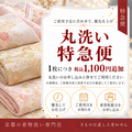 特急便利用(丸洗い特急1枚につきプラス1100円)