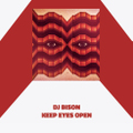 DJ BISON keep eyes open MIX CD
