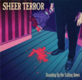 SHEER TERROR  stand up fo falling down LP