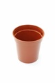 PM 茶色 / 直径5.5　【10個セット】