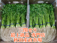 三関せりの商品一覧 | 【秋田産直市場】 特産品お取り寄せ通販