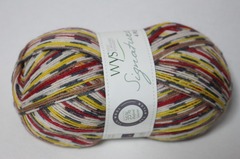 WYS 4Ply(840)  Goldfinch  