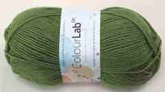 WYS ColourLab DK 1134(Shamrock Green）