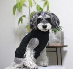 キルトハートニット