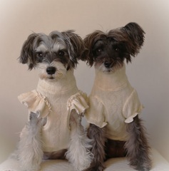 アランニットセーター