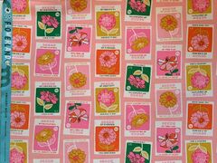 FC-863 小関鈴子セレクション コットン