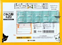 【ゆうちょ銀行振込限定】V-パワークリーン(ハーフサイズ20包)［送料込 2,400円］