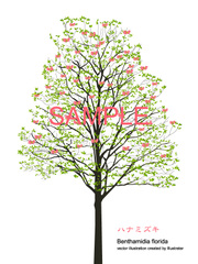 No.660　木　ハナミズキ　ピンク　【AI】